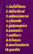 สายัณห์ นิรันดร - ร้องไห้ที่ไฟแดง VCD1120-web2